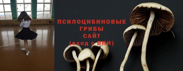 дживик Костерёво