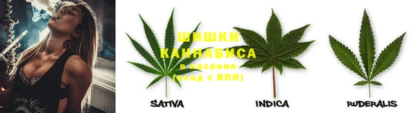 дживик Костерёво
