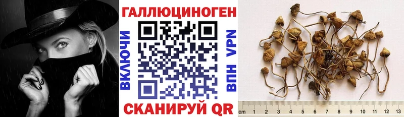 Псилоцибиновые грибы ЛСД Кузнецк