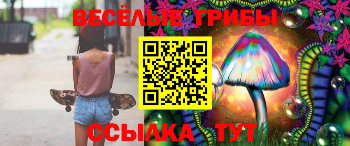 Кузнецк  Галлюциногенные грибы MAGIC MUSHROOMS  Вход с VPN  Галлюциногенные грибы мицелий 