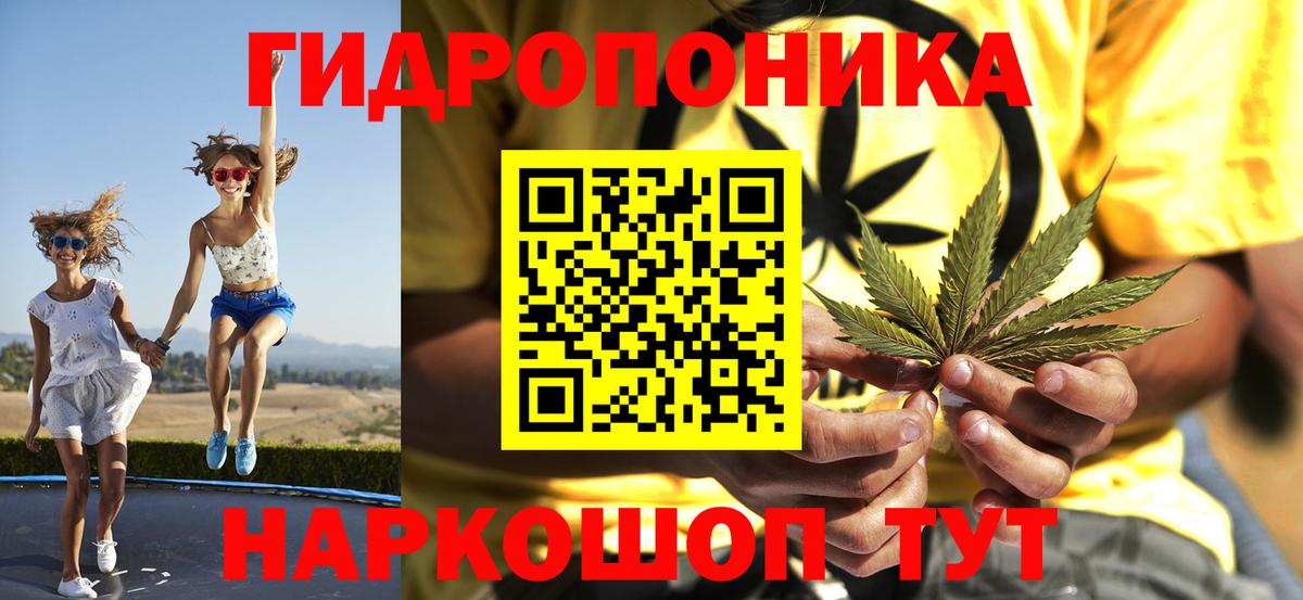 Марихуана марихуана Кузнецк